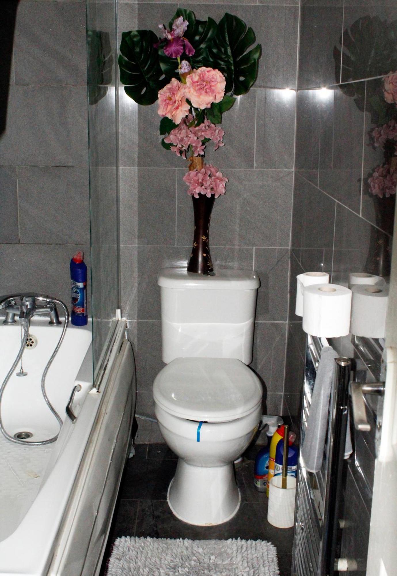 Cozy Rooms Or Entire Apartment In London, Fast Links To Central Ngoại thất bức ảnh